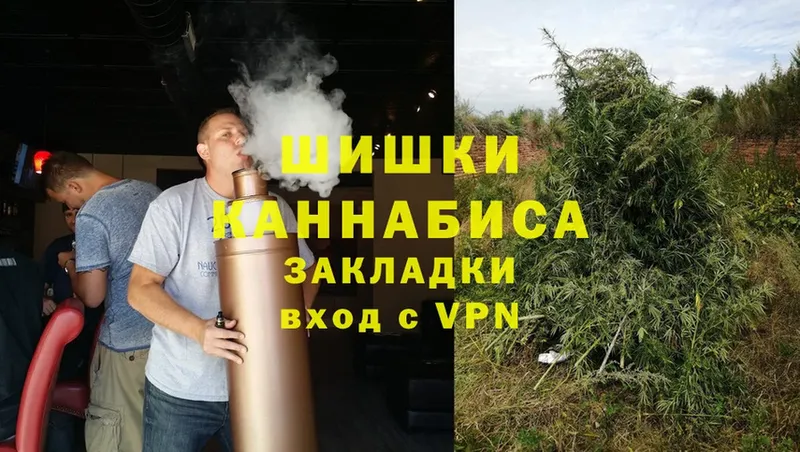 Конопля Ganja  Магас 